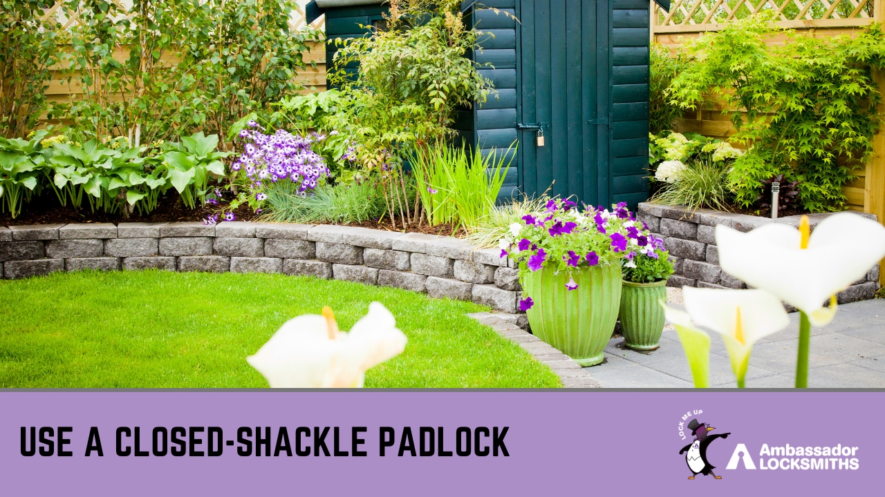 Heavy-duty closed-shackle padlock fitted to reinforced garden shed latch