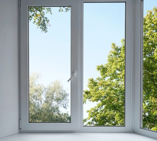 View-from-the-window-on-the-garden-green-trees